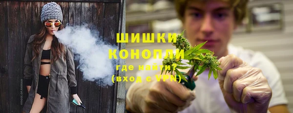 гашик Новодвинск