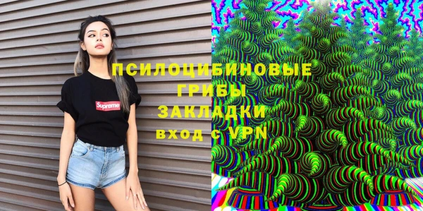 стаф Новозыбков