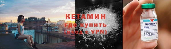 стаф Новозыбков