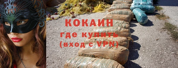 стаф Новозыбков