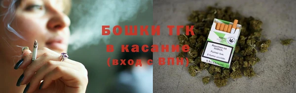 гашик Новодвинск