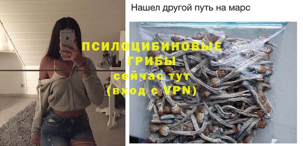 гашик Новодвинск