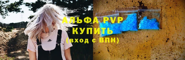 гашик Новодвинск
