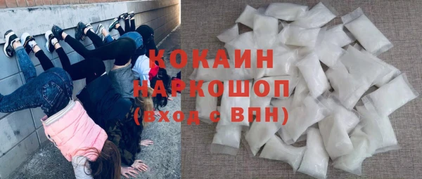 стаф Новозыбков